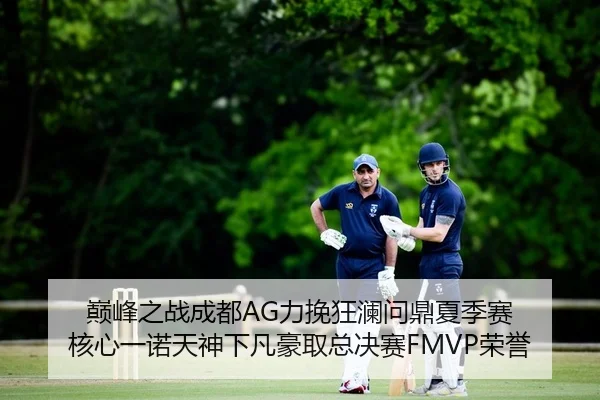 巅峰之战成都AG力挽狂澜问鼎夏季赛 核心一诺天神下凡豪取总决赛FMVP荣誉